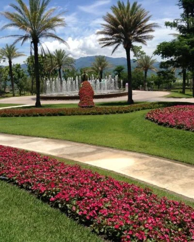 Landscape Design 3