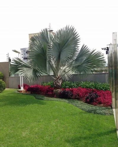 Landscape Design 6